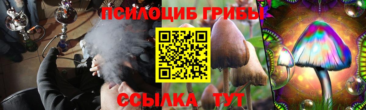 Псилоцибиновые грибы мухоморы Первоуральск